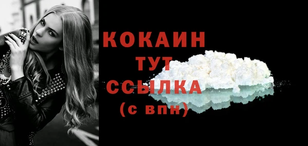 альфа пвп Туринск