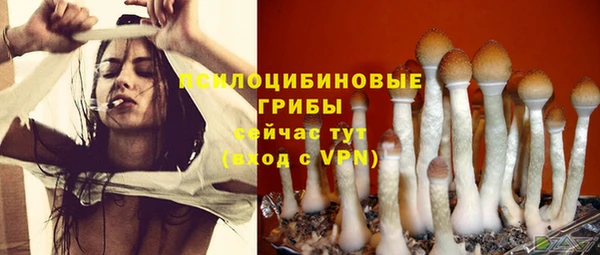 не бодяженный Верея