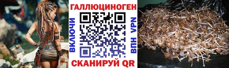 Псилоцибиновые грибы прущие грибы  Севск 